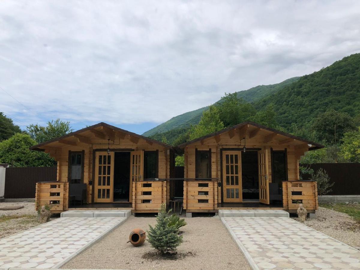Olginka Villa Gagra Bagian luar foto