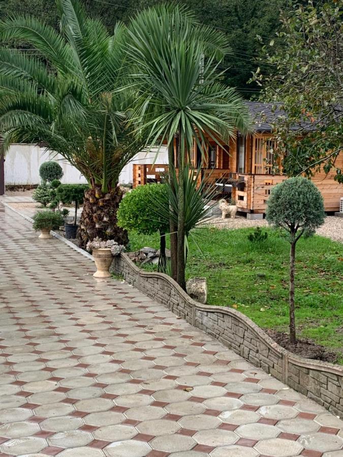 Olginka Villa Gagra Bagian luar foto