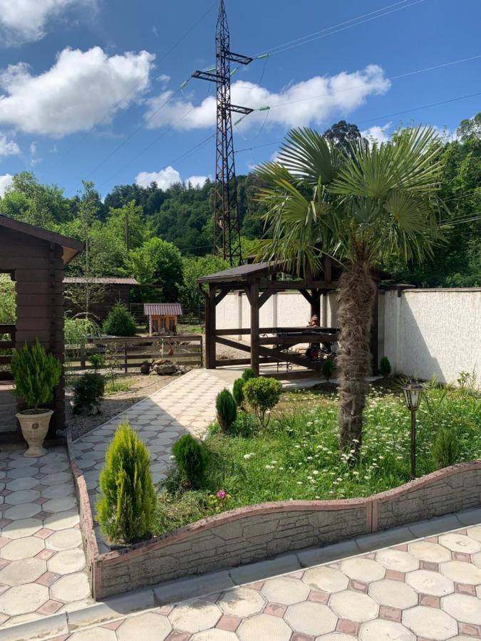Olginka Villa Gagra Bagian luar foto