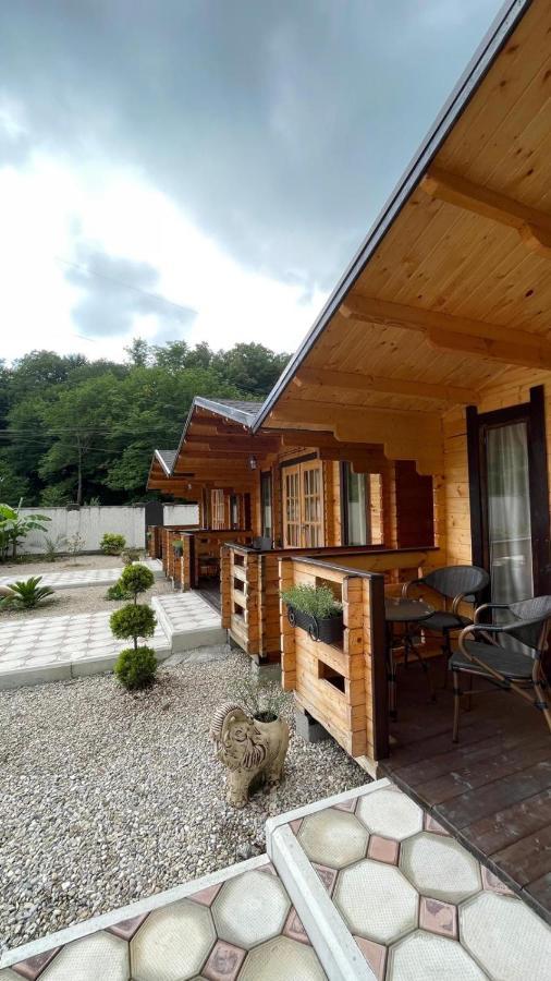 Olginka Villa Gagra Bagian luar foto
