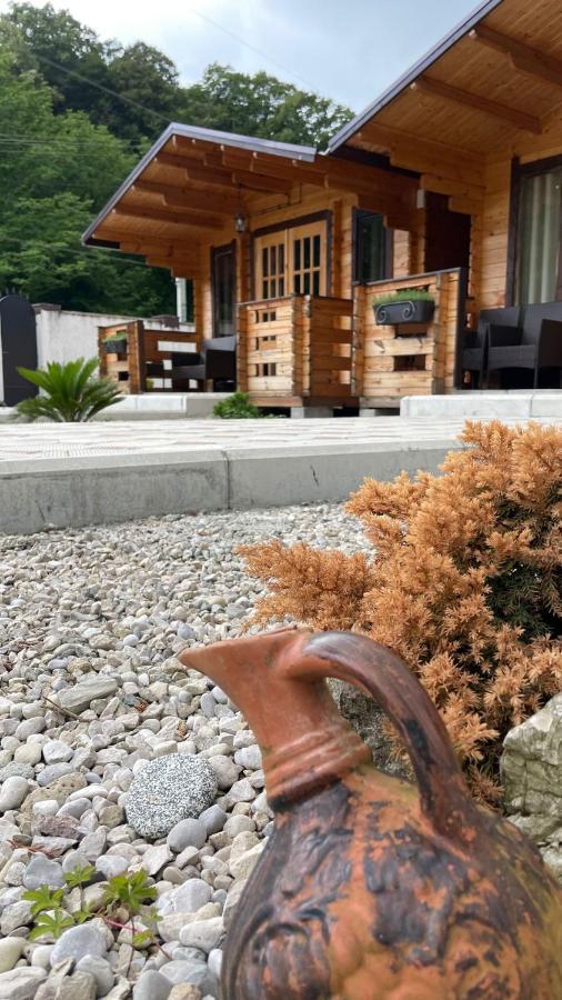 Olginka Villa Gagra Bagian luar foto