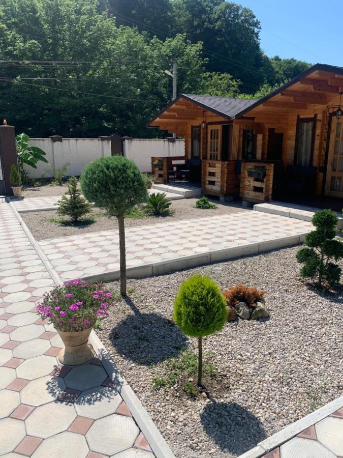 Olginka Villa Gagra Bagian luar foto